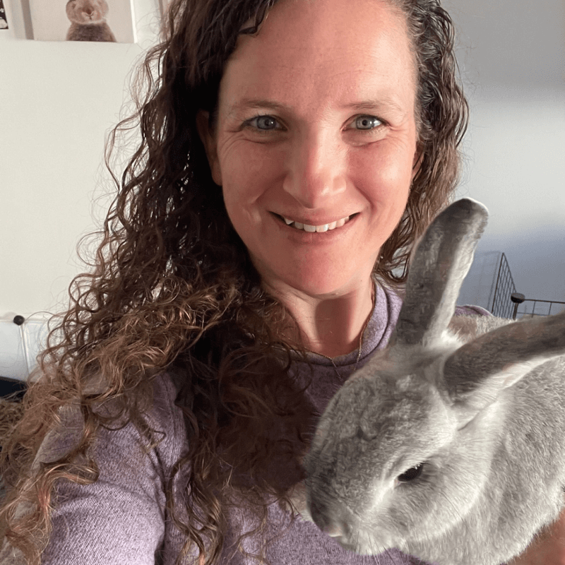 Max the bunny