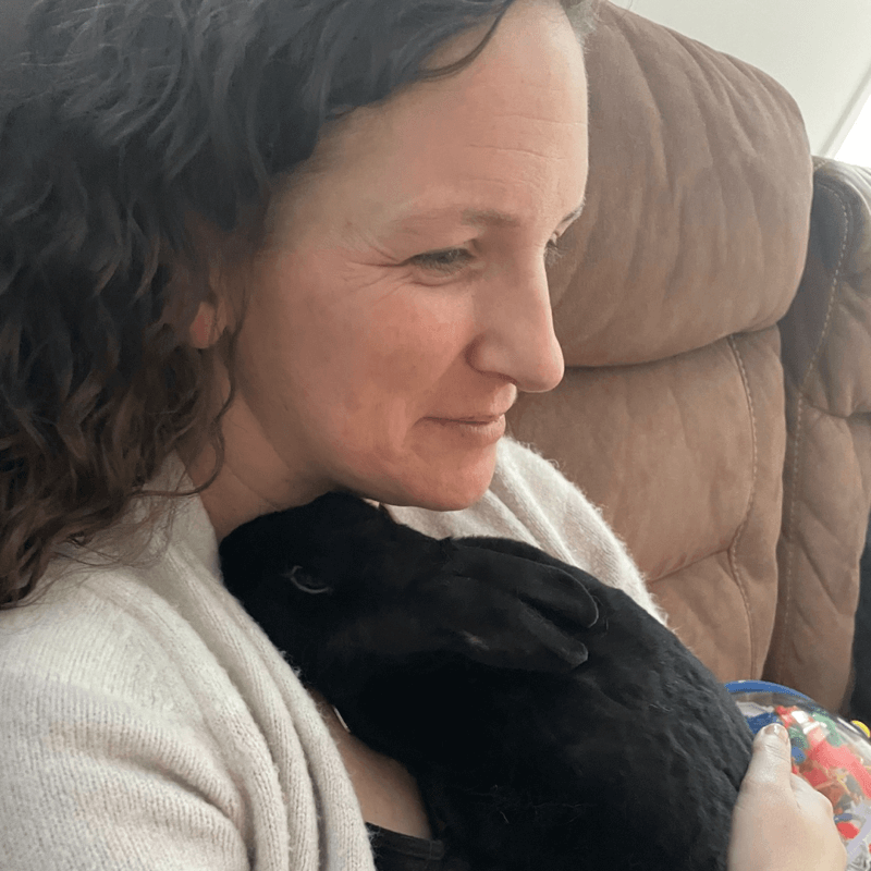 Puck the bunny